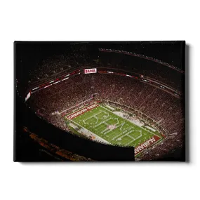 Alabama Crimson Tide - Bryant-Denny Bama Aerial