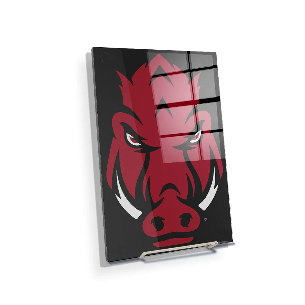 Arkansas Razorbacks - Razorback