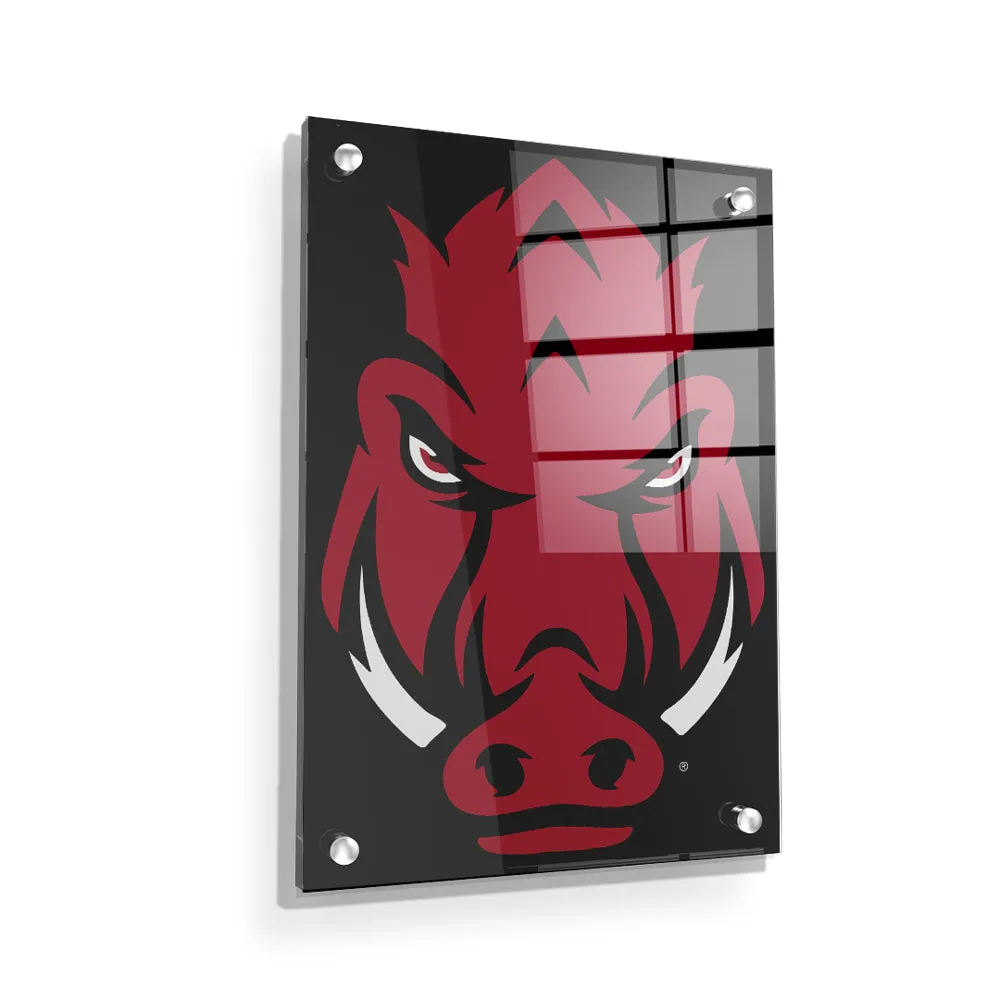 Arkansas Razorbacks - Razorback