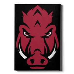 Arkansas Razorbacks - Razorback