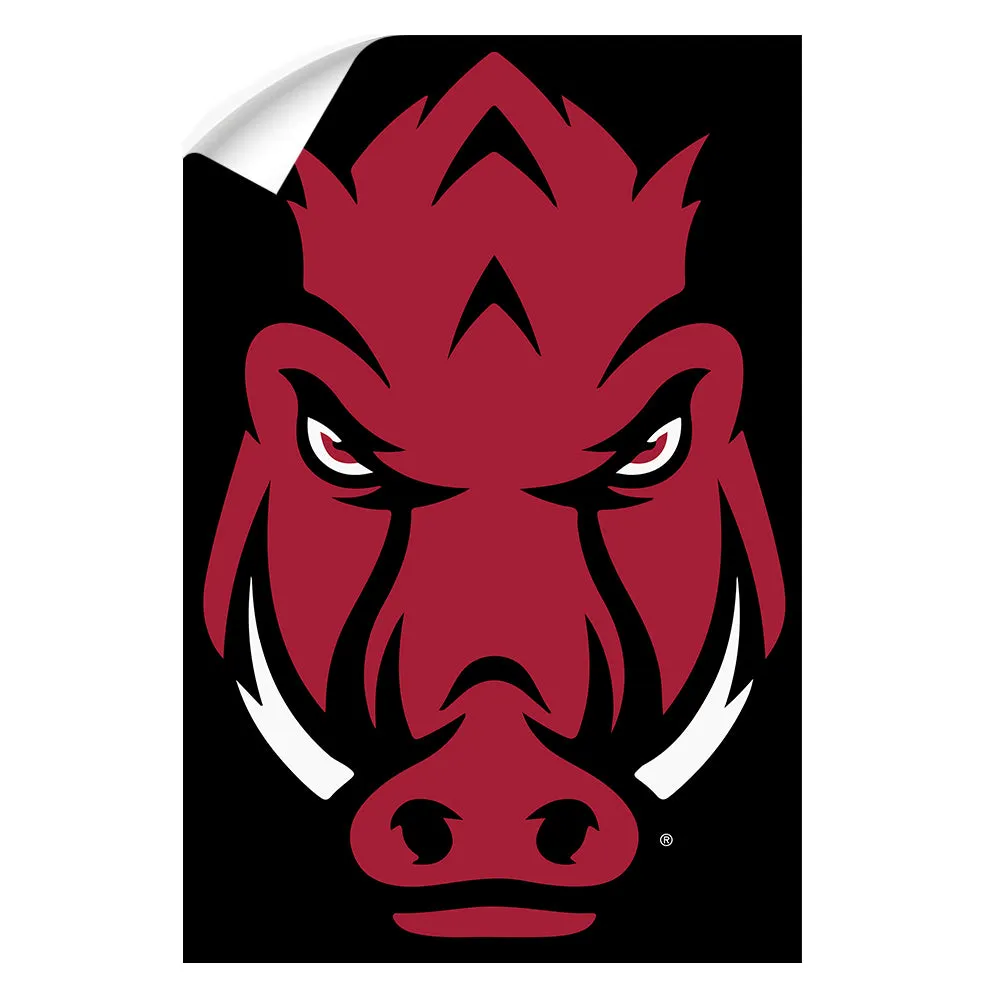 Arkansas Razorbacks - Razorback