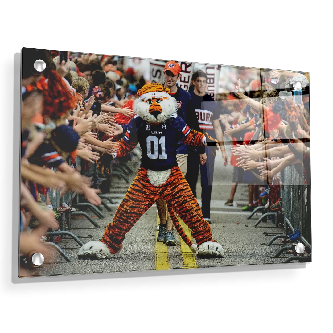 Auburn Tigers - Aubie at the Tiger Walk