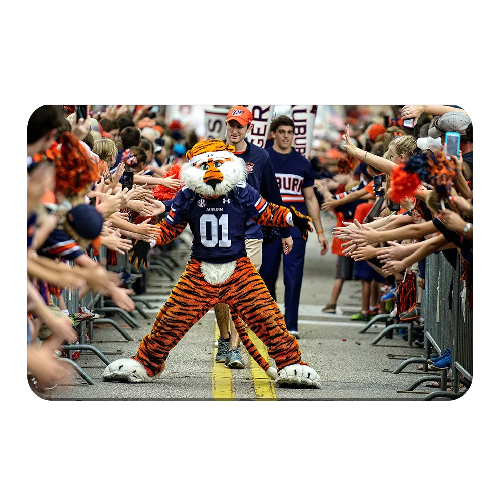 Auburn Tigers - Aubie at the Tiger Walk