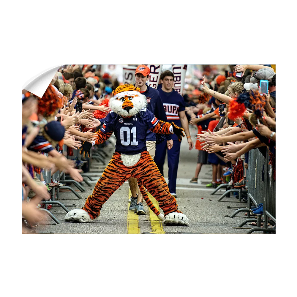 Auburn Tigers - Aubie at the Tiger Walk