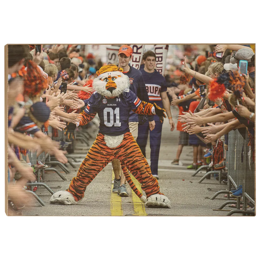 Auburn Tigers - Aubie at the Tiger Walk