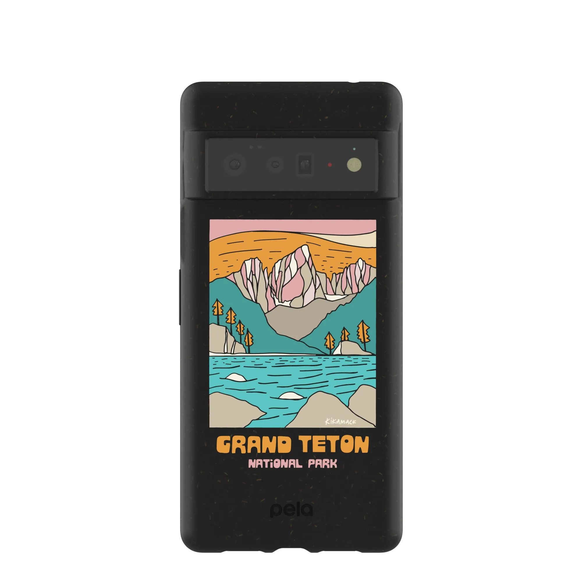 Black Grand Teton Google Pixel 6 Pro Case