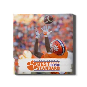 Clemson Tigers - The Clemson Catch Best is the Standard