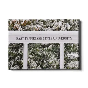 ETSU - East Tennessee Snow