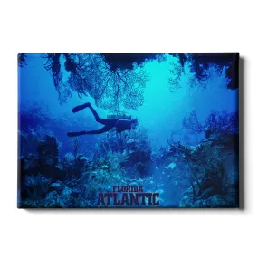 Florida Atlantic Owls - Florida Atlantic Dive