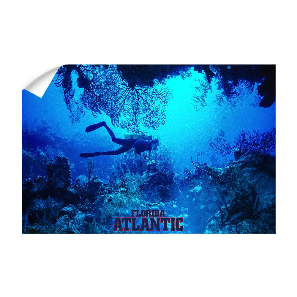 Florida Atlantic Owls - Florida Atlantic Dive