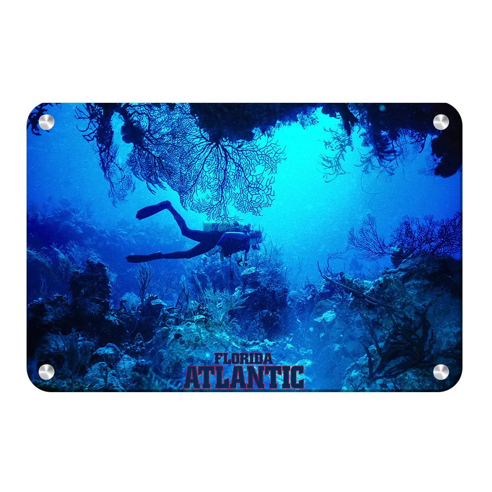 Florida Atlantic Owls - Florida Atlantic Dive