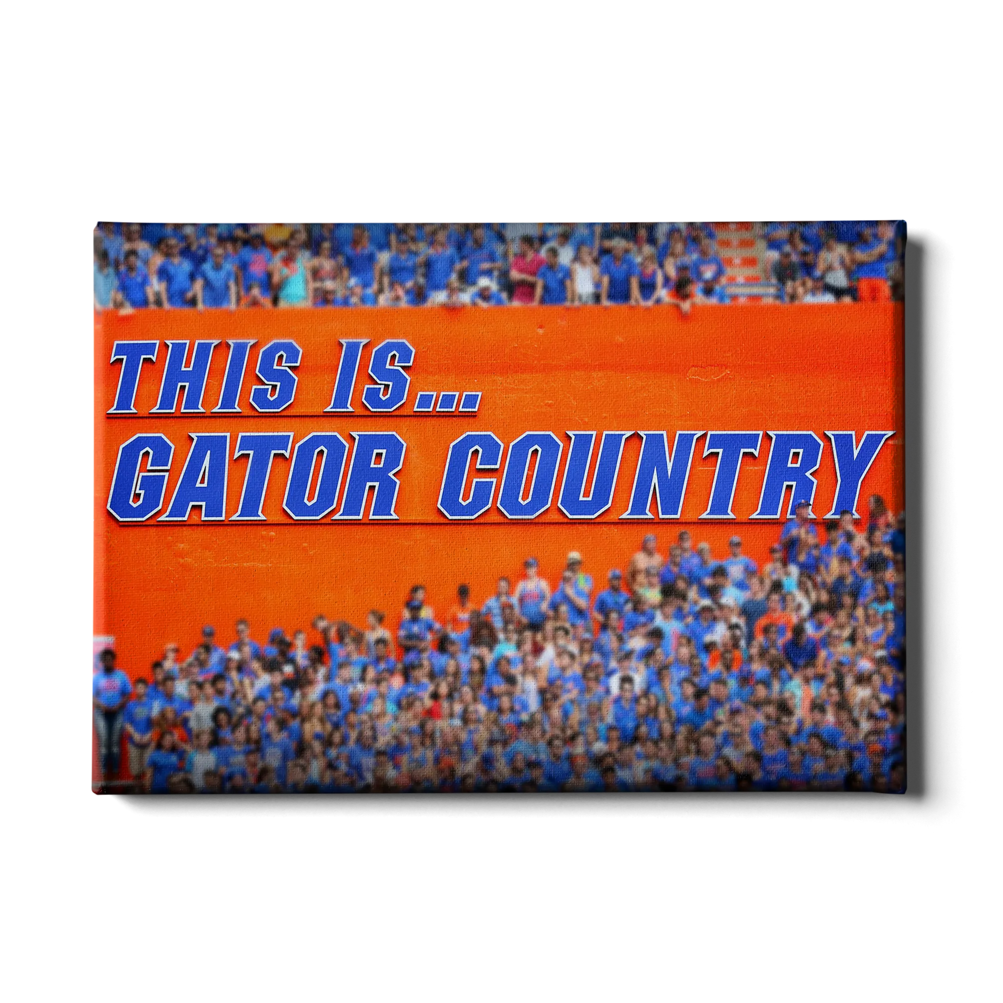 Florida Gators - Gator Country