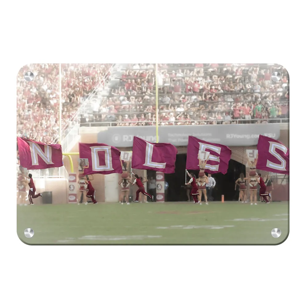 Florida State Seminoles - Noles