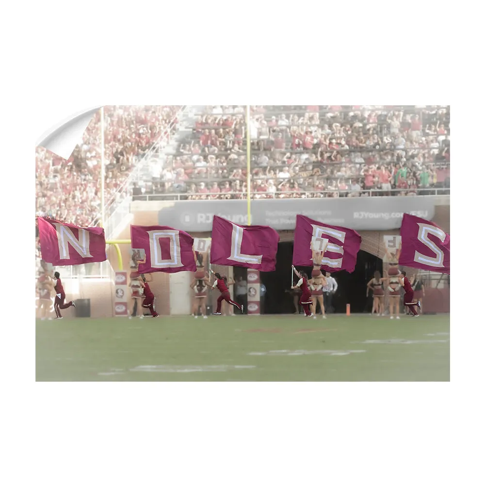 Florida State Seminoles - Noles