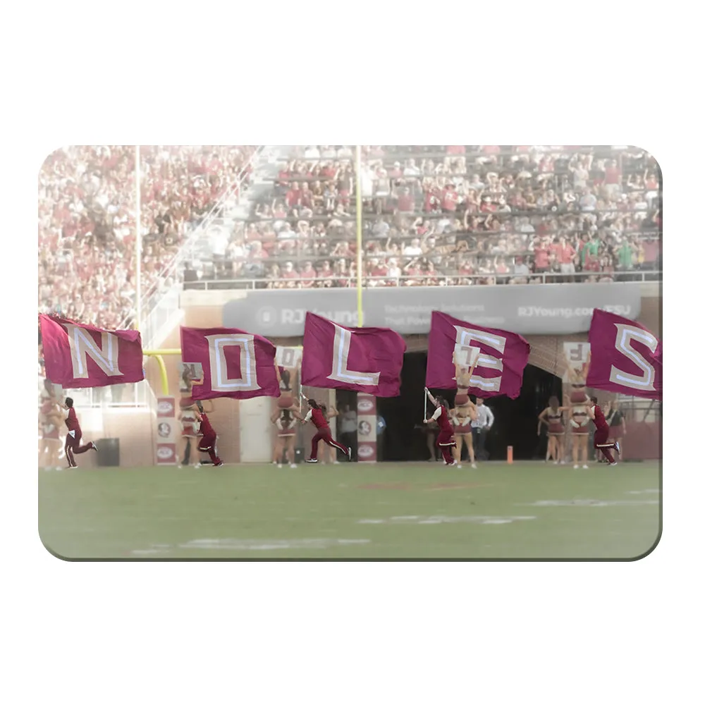 Florida State Seminoles - Noles