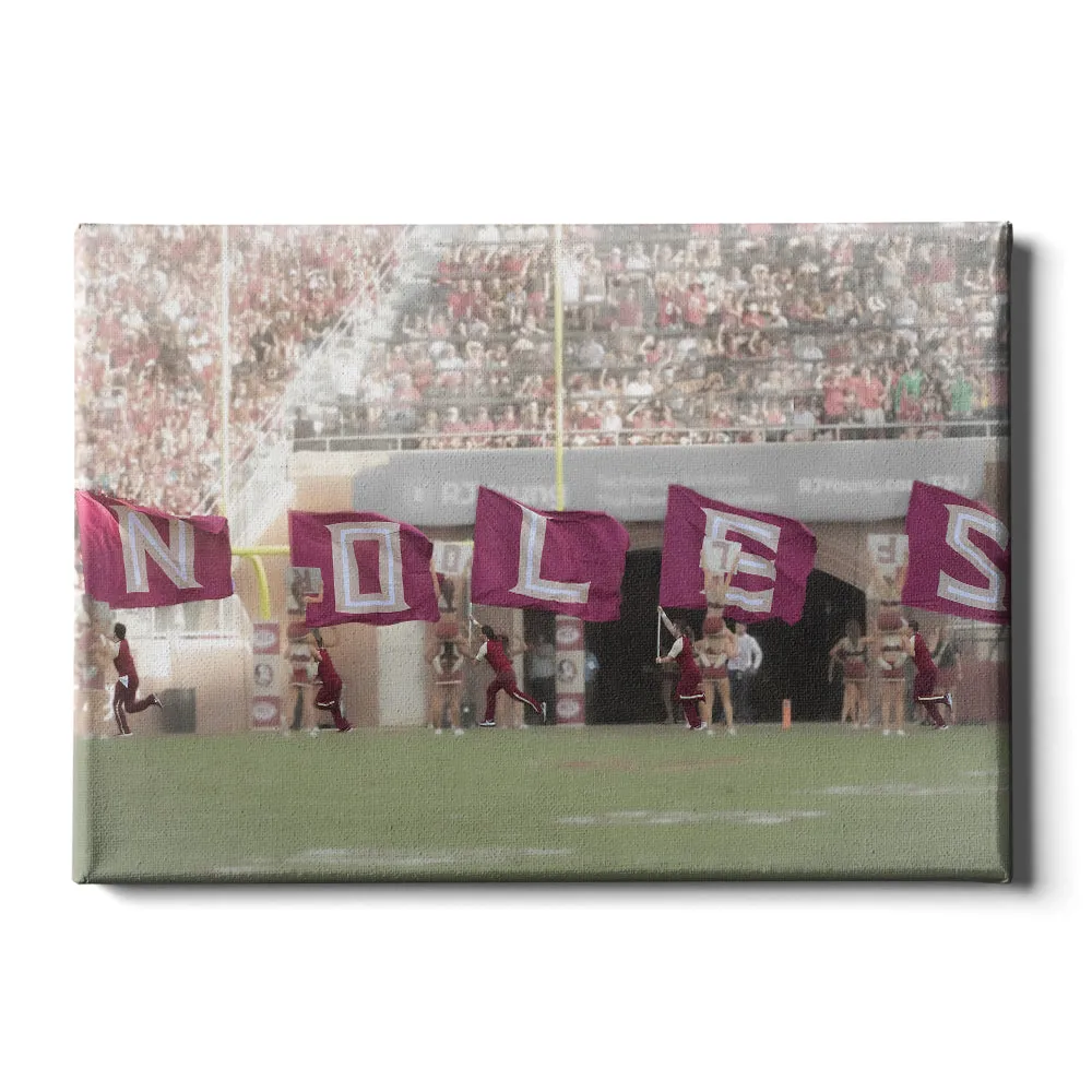 Florida State Seminoles - Noles