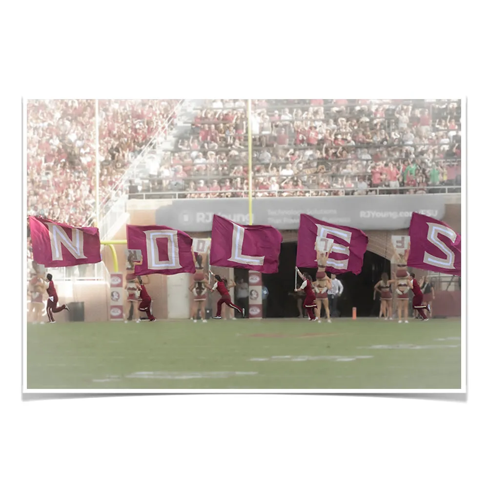 Florida State Seminoles - Noles