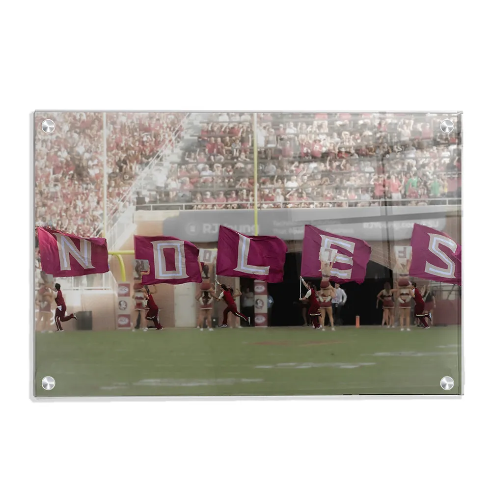 Florida State Seminoles - Noles