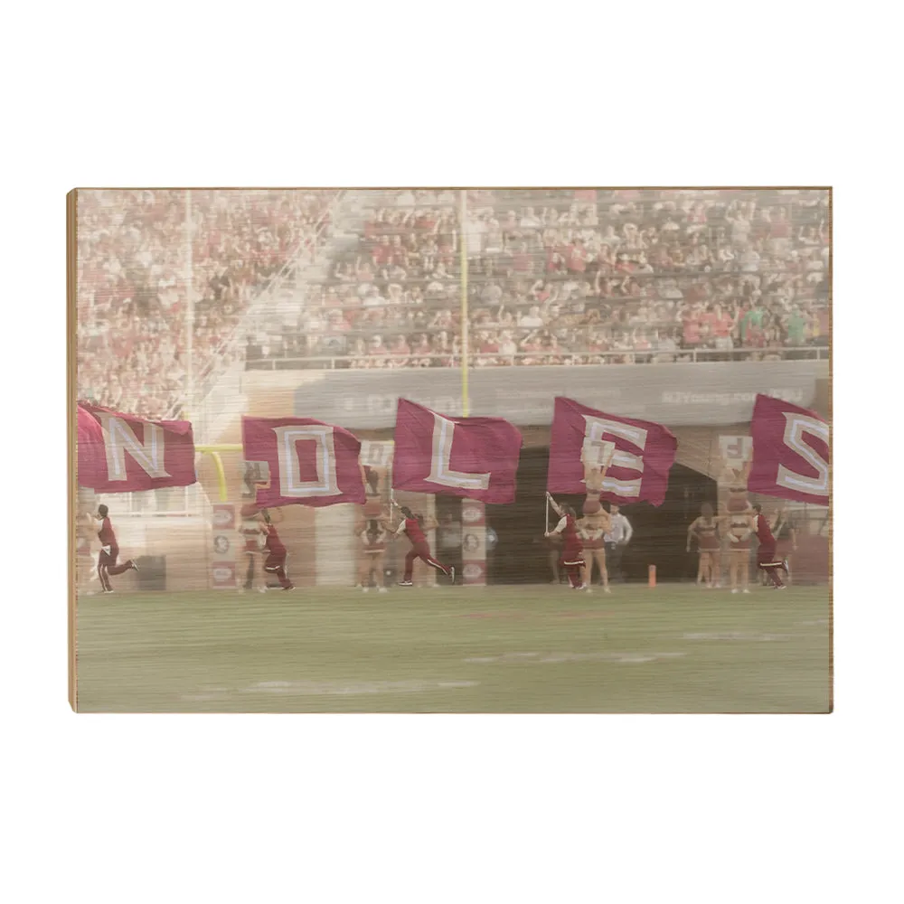 Florida State Seminoles - Noles