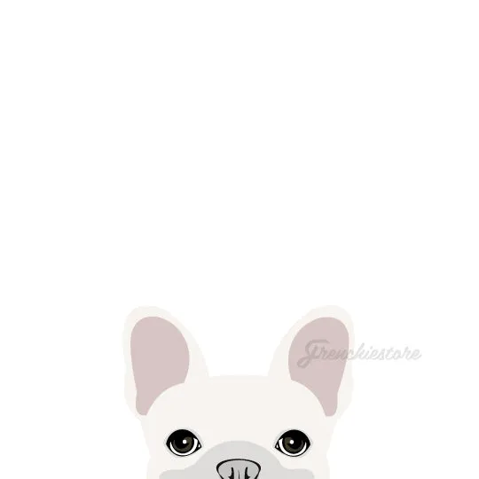 Frenchie Sticker | Frenchiestore | White French Bulldog Car Decal