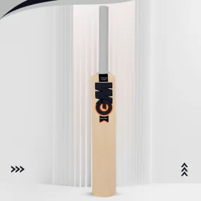 GM Eclipse Striker Kashmir Willow Cricket Bat