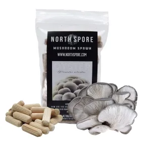 Organic Blue Oyster Mushroom Plug Spawn