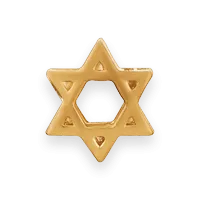 Star of David Charm