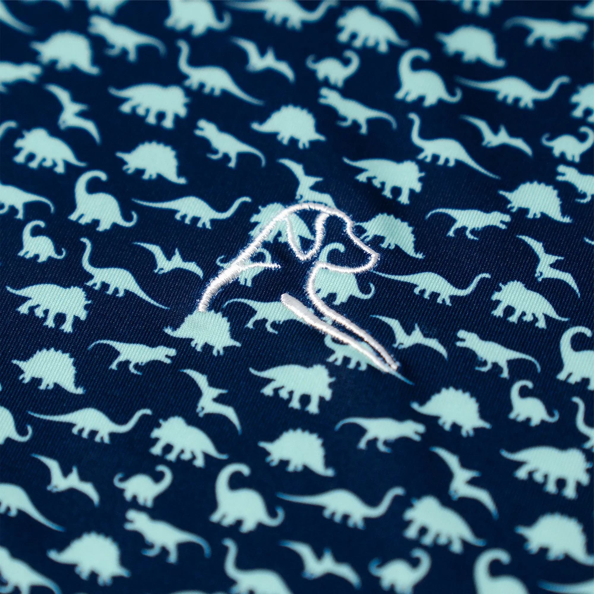 The Dino | Performance Polo | The Dino - Admiral Navy/Mint Green